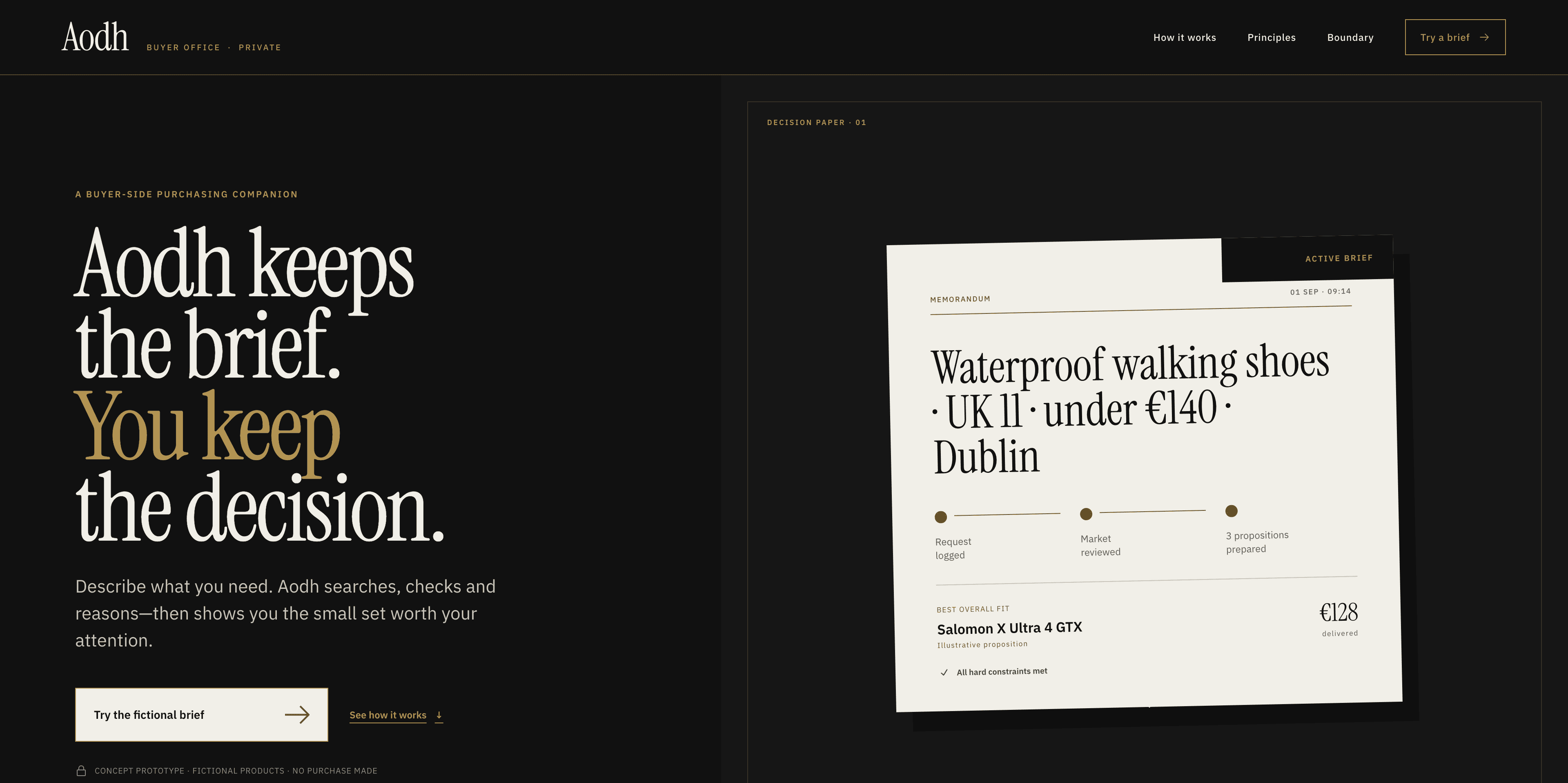 Shopping Aodh's black, ivory and gold landing page with a buyer-side brief and an illustrative decision paper.